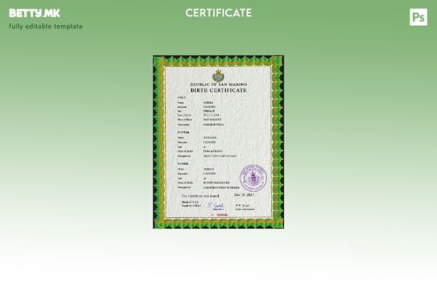 Модерен стил шаблон за PSD извод од матична книга на родените во Сан Марино